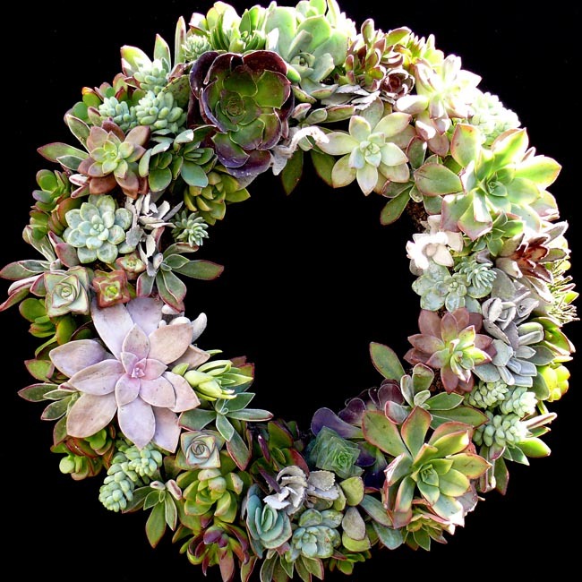 succulent_wreath_2010_large650