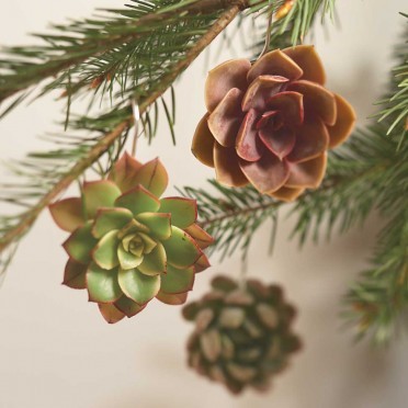 succulent_ornaments