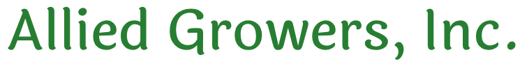 Website title